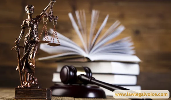 Business Law Questions