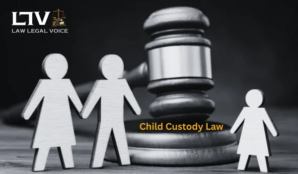 Child Custody Law