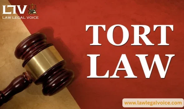 Torts in Business Law