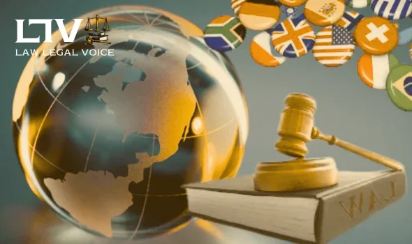 International Business Law Firm