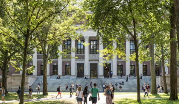 Best Majors for Law School