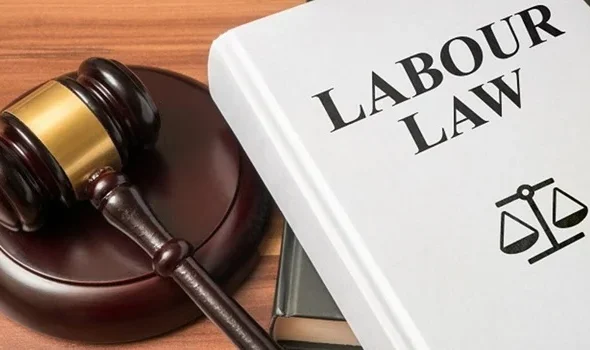 Labor Law Attorney for Employees