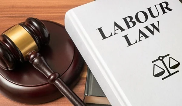 Labor Law Attorney for Employees