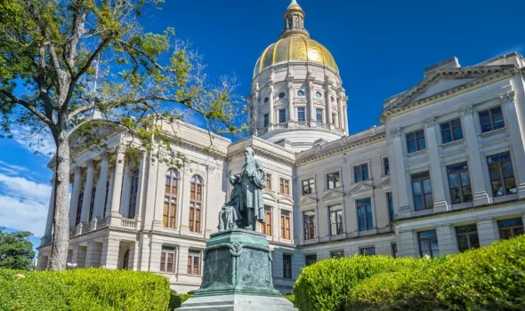 New Georgia Laws