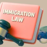 Immigration law