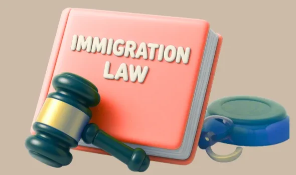 Immigration law